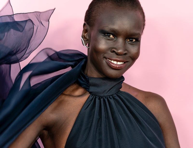 Alek Wek Black Model