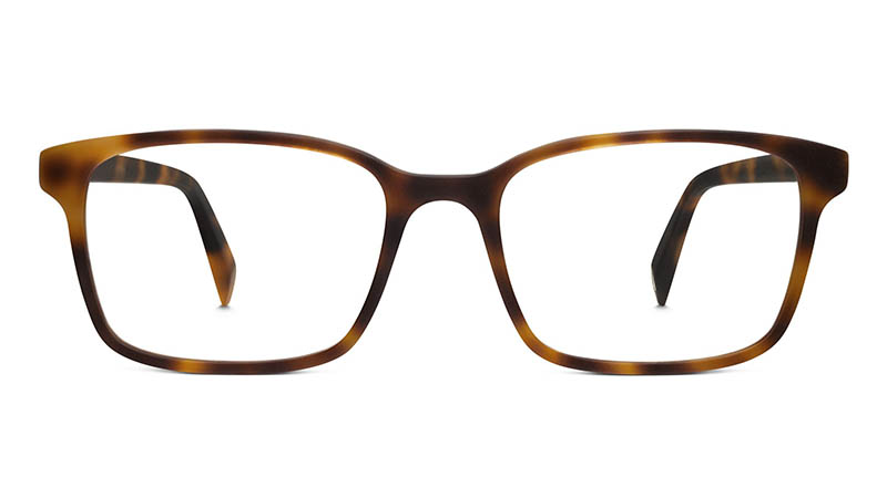 Warby Parker Brady Glasses in Layered Tortoise Matte $95