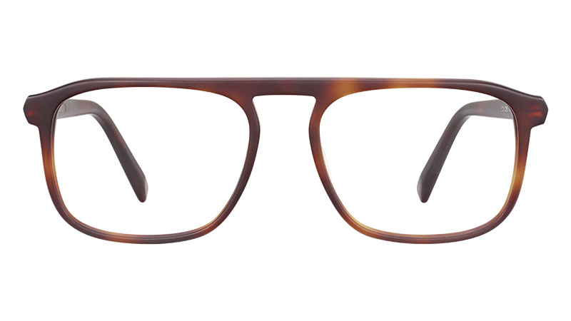 Warby Parker Lyon Glasses in Rye Tortoise Matte $95