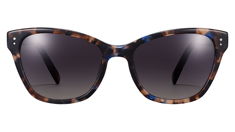 Warby Parker Delaney Glasses in Tanzanite Tortoise $95